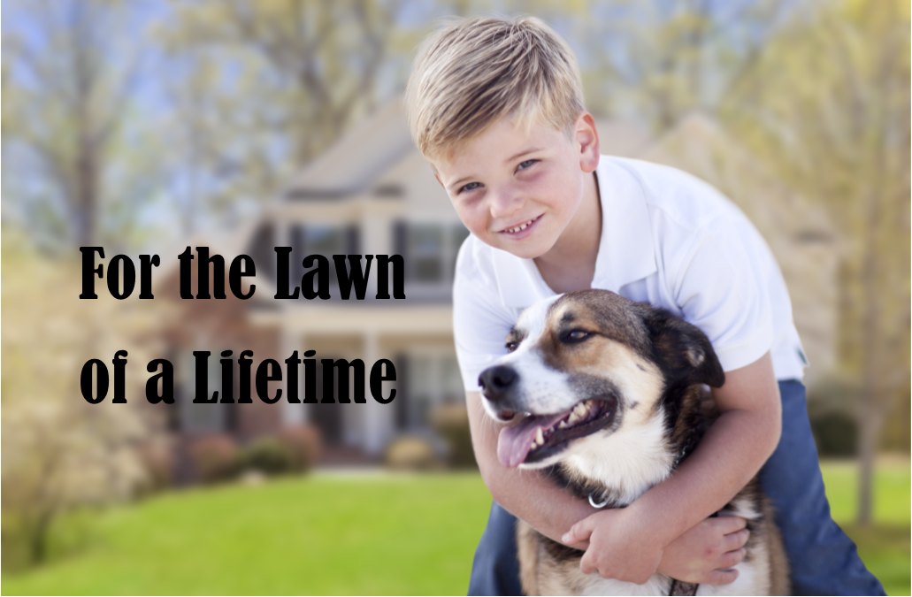 picture of a boy and a dog on a lawn- text = For the Lawn of a Lifetime